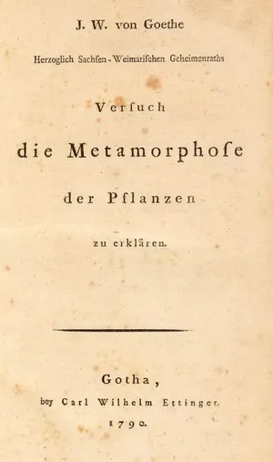 Versuch die Metamorphose der Pflanzen zu erklären