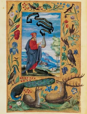 Splendor Solis