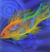 Der magische Fisch