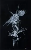 Fossil