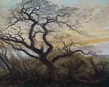 Der Krähenbaum