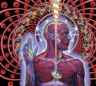 Lateralus (tool album artwork)